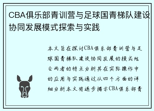 CBA俱乐部青训营与足球国青梯队建设协同发展模式探索与实践